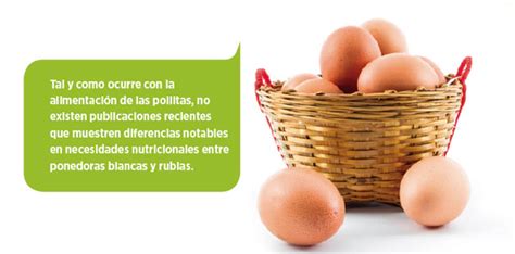 Nutrición de gallinas ponedoras y Calidad del Huevo