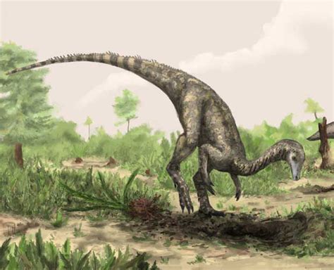 Nyasasaurus, middle Triassic Africa, about 243 MYA ...