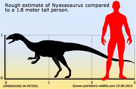 Nyasasaurus