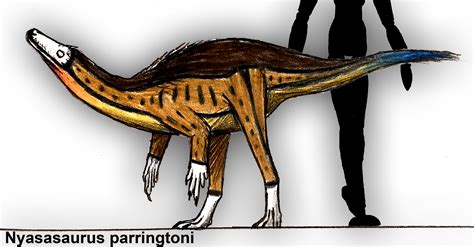 Nyasasaurus parringtoni by PLASTOSPLEEN on DeviantArt