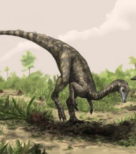 Nyasasaurus parringtoni, phải chăng là một loài khủng long ...