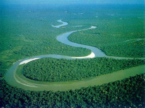 O Rio Amazonas – resumo e curiosidades sobre o rio ...