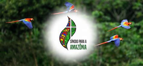 O Sínodo Amazônico e a Fraternidade Franciscana ...