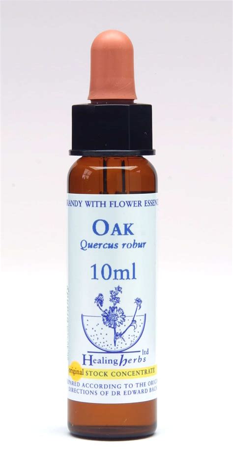 Oak  Roble  Flor de Bach Healing Herbs