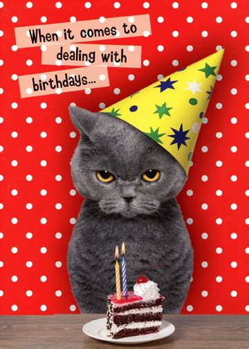 Oatmeal Studios Dealing With Birthdays Cat Funny Birthday ...