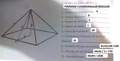 Observa la imagen que representa una piramide y contesta lo que se te ...