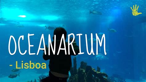 Oceanarium in Lisbon, what to expect?   YouTube