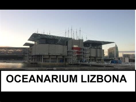 Oceanarium w Lizbonie / The Lisbon Oceanarium /   YouTube