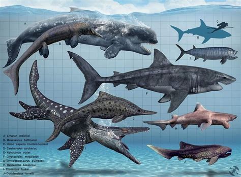 Oceanos prehistoricos | Ancient animals, Extinct animals, Prehistoric ...