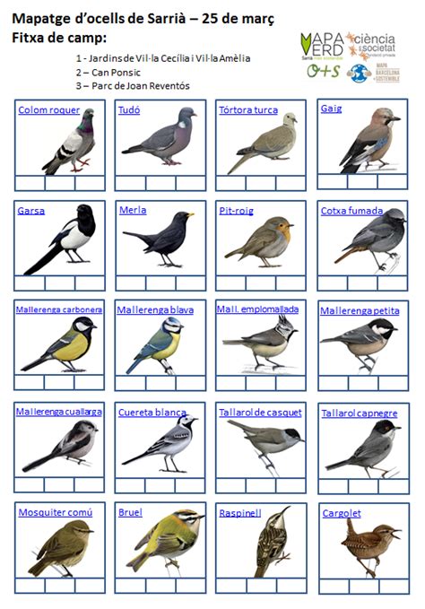 Ocells de Sarrià – Mapa Verd de Sarrià
