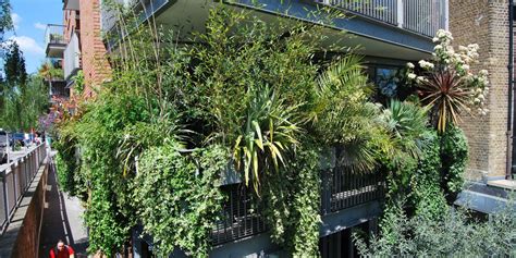 Ocho plantas para que tu terraza parezca una jungla