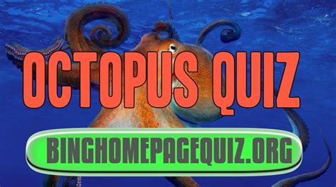 octopus quiz | Bing Homepage Quiz