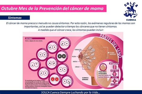 Octubre mes de la Prevención del cáncer de mama: Síntomas ...
