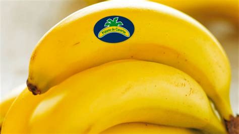 Octubre vuelve a confirmar que el plátano canario pierde ...