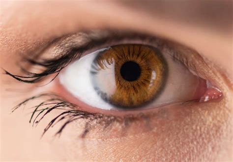 » Ojo con la retina: ¿De qué se enferma?
