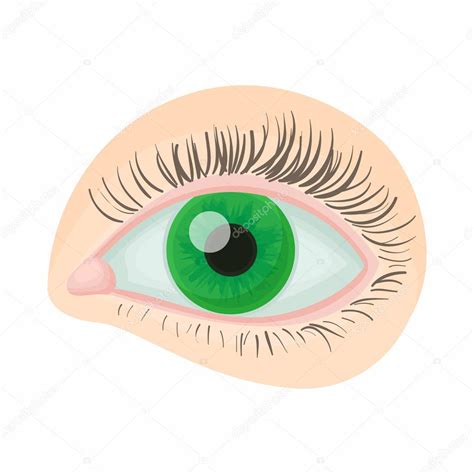 Ojos llorando dibujo a color | Icono verde ojo humano ...