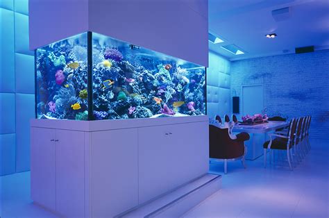 Okeanos Aquarium | Acuarios personalizados, Acuario de pared, Diseño de ...