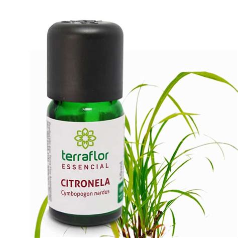 Óleo essencial de Citronela   Terra Flor Aromaterapia