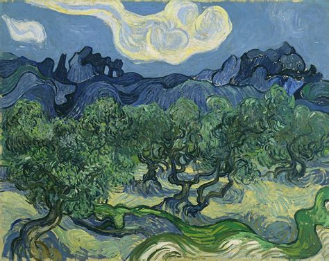 Olive Trees  Van Gogh series    Wikipedia