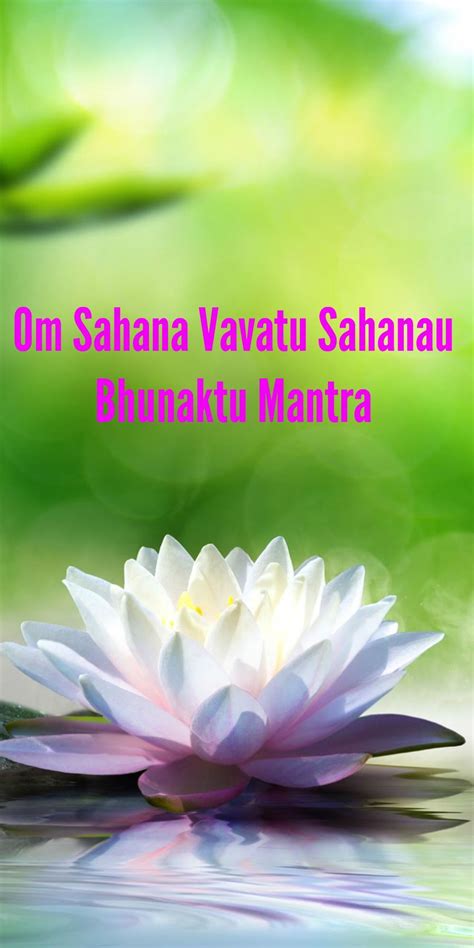 Om Sahana Vavatu Sahanau Bhunaktu Mantra – Lyrics ...