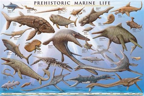 Ominous Octopus Omnibus: Prehistoric Sea Monsters