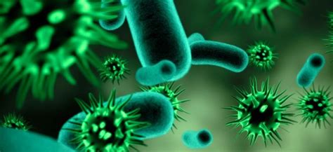 OMS publica cuáles son las bacterias más peligrosas del mundo