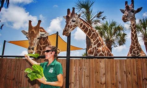 One Year Zoo Membership   Naples Zoo at Caribbean Gardens ...