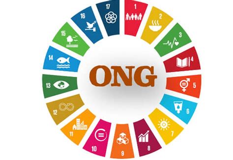 ONGs: ¿Grupos con fines benéficos o herramientas de ...