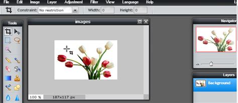 Online Photo Editors   Top 4 Online Tools That Works Like ...