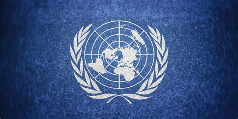 ONU: Concepto, Objetivos y Países miembros