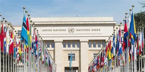 ONU: qué es, objetivos, países integrantes y características
