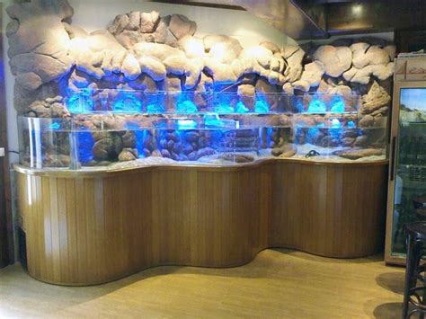 Opciones de compra de acuarios de marisco   Acuarios ...