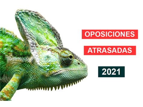 Oposiciones aplazadas a 2021....¿Cómo aprovecharlo?