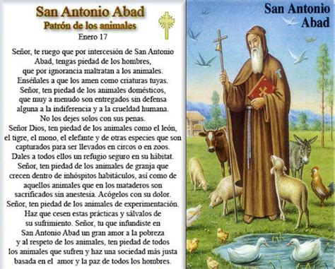 Oración a San Antonio Abad Protector de los Animales ...