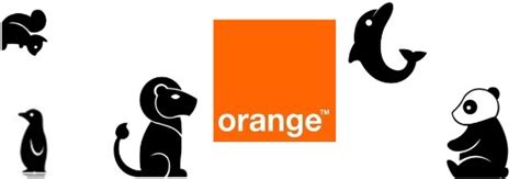 Orange: Noticias e información general