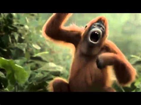 Orangutan monkey dance so funny....   YouTube