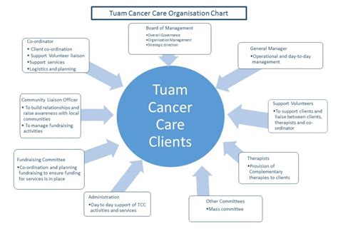 Organisation Chart   Tuam Cancer Care