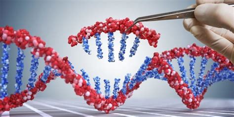 Organismos Genéticamente Modificados   Concepto, usos, ejemplos