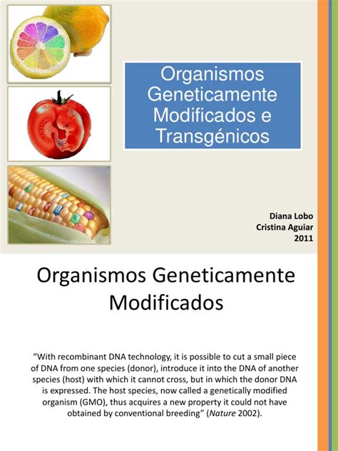 Organismos Geneticamente Modificados e Transgénicos | PDF ...