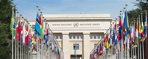 Organización de las Naciones Unidas – AL DÍA | PUERTO RICO