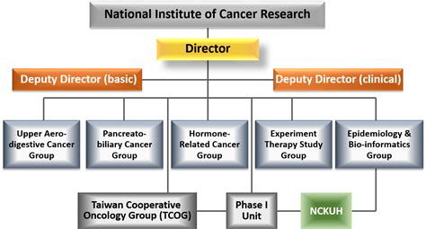Organization – National Institute of Cancer Research
