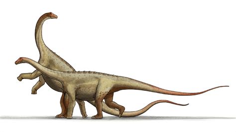 Origen De Los Dinosaurios Para Niños De Primaria ...
