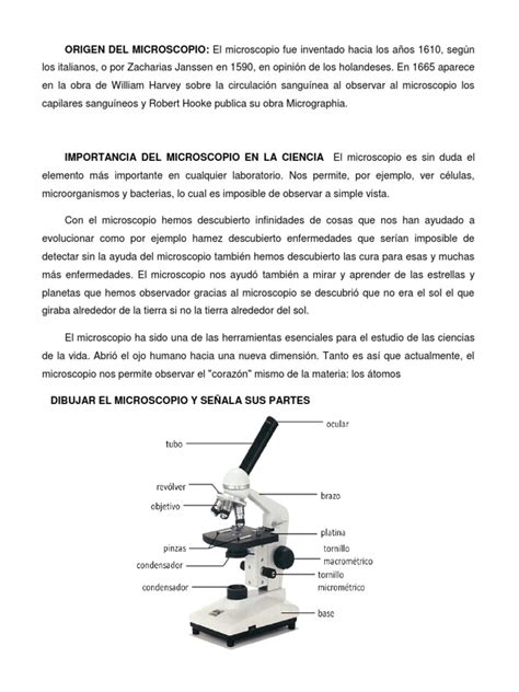 ORIGEN DEL MICROSCOPIO.docx | Microscopio | Exponenciación