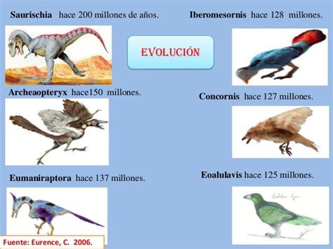 Origen, evolución e historia de la gallina doméstica