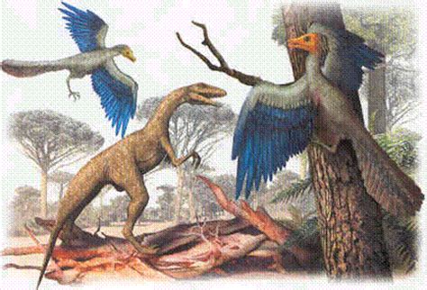 Origen y Evolución de las Aves