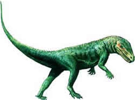Origen y evolución de los reptiles y dinosaurios
