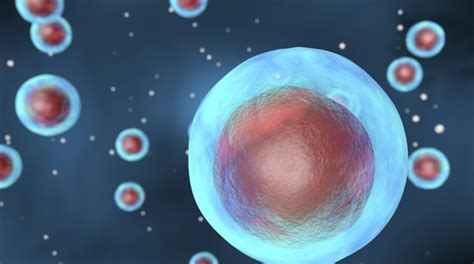 Origin of Life: Are Single Cells Really Simple?   Life ...