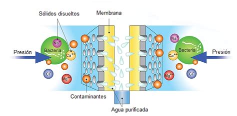 Ósmosis Inversa – Un proceso sofisticado de filtración por ...