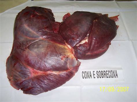 ostrich meat suppliers,exporters on 21food.com