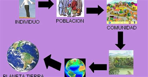 Otakus Ecologia: Niveles de organización de la materia.